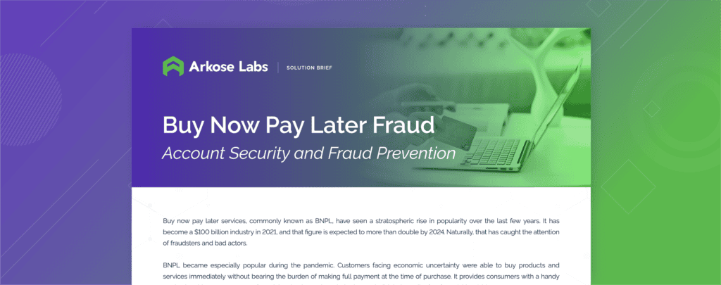 Buy Now Pay Later Fraud
