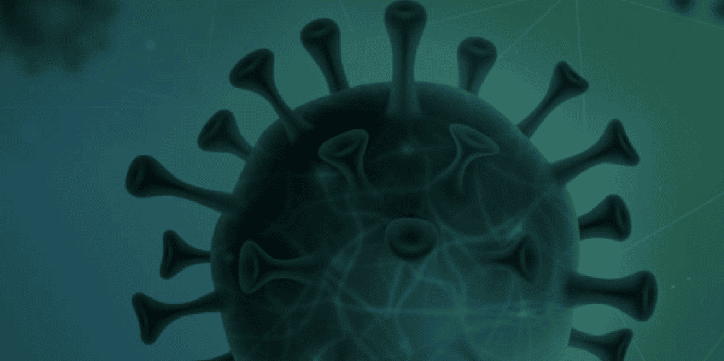 COVID-19 & Fraud: A Black Swan Event