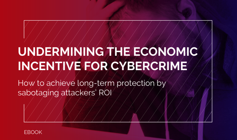 Read more about the article Undermining The Economic Incentive For Cybercrime