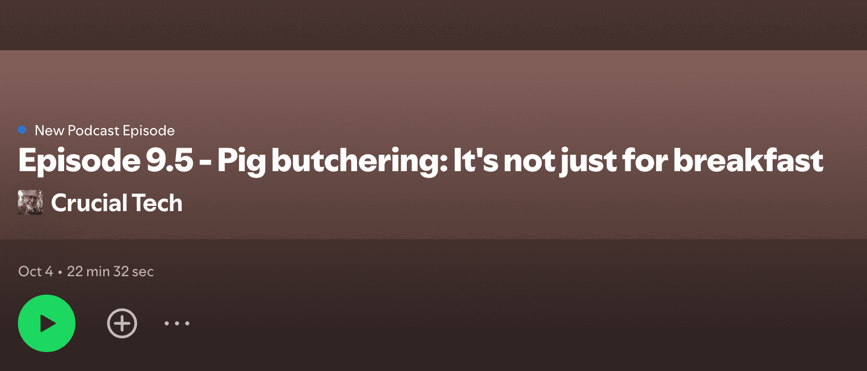 Read more about the article Pig Butchering: It’s not just for breakfast