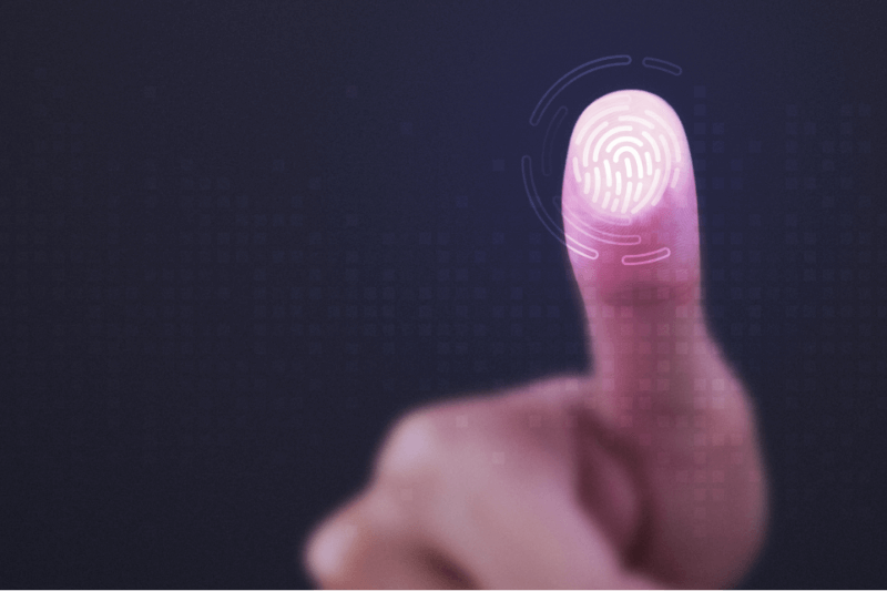 Device Fingerprint