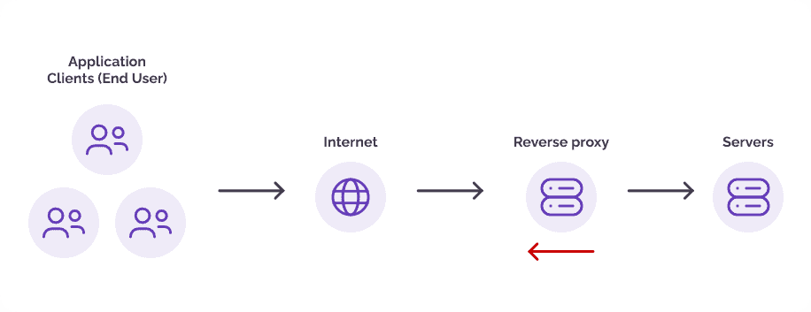 Reverse Proxy Server Handles Traffic