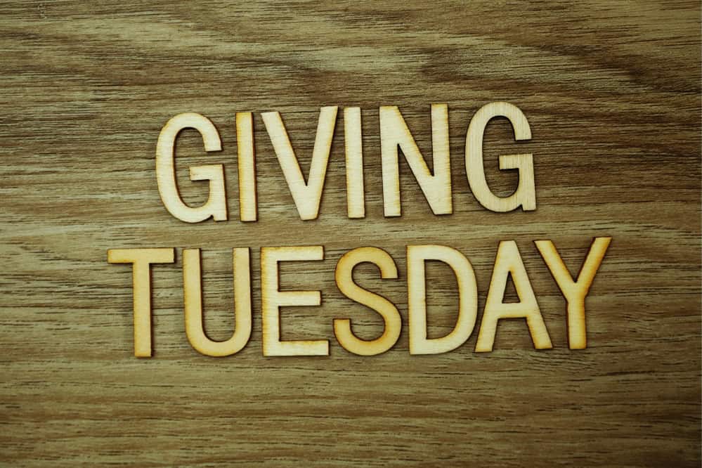 Read more about the article Giving Tuesday – Top of the year for Charity, and Fraud